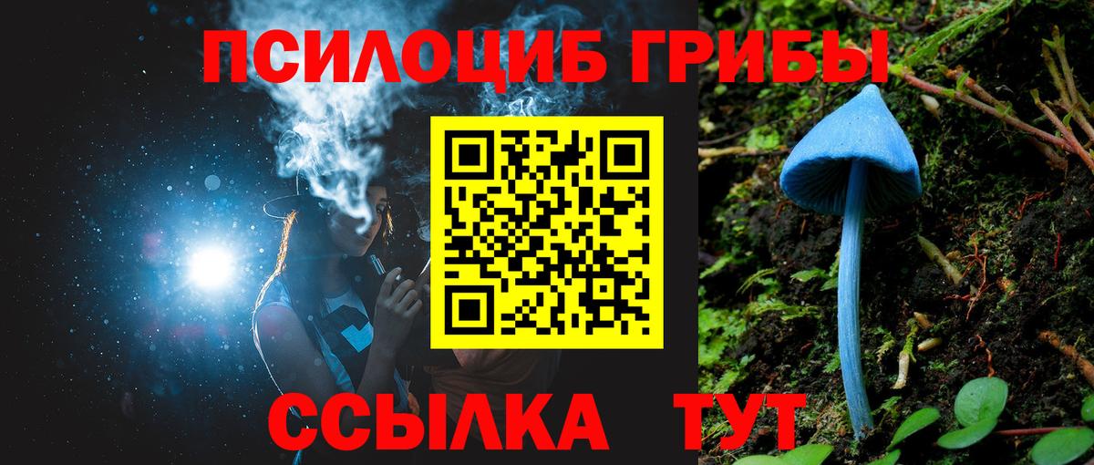 Псилоцибиновые грибы мухоморы Шахты