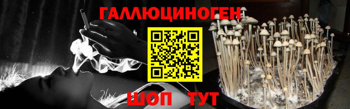 Псилоцибиновые грибы Psilocybe  Псилоцибиновые грибы Magic Shrooms  Шахты  Вход с VPN 